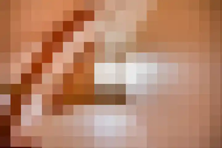 Westerweg 48 Purmerend thumbnail 31