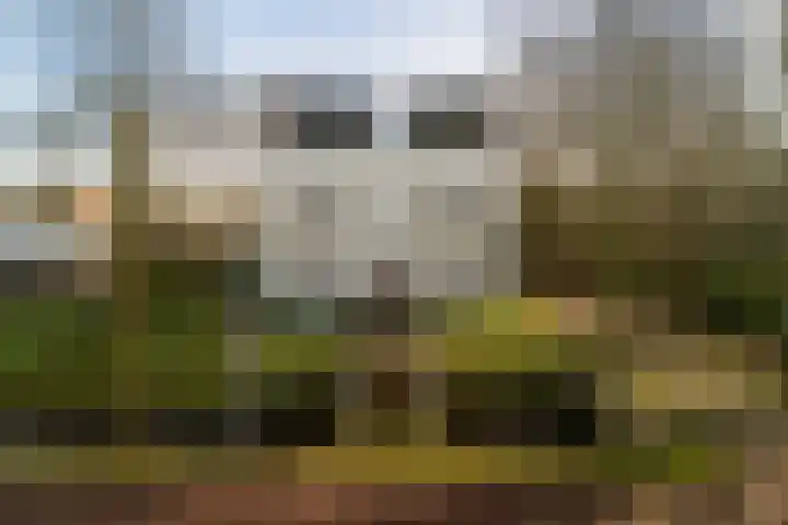 Westerweg 48 Purmerend thumbnail 35