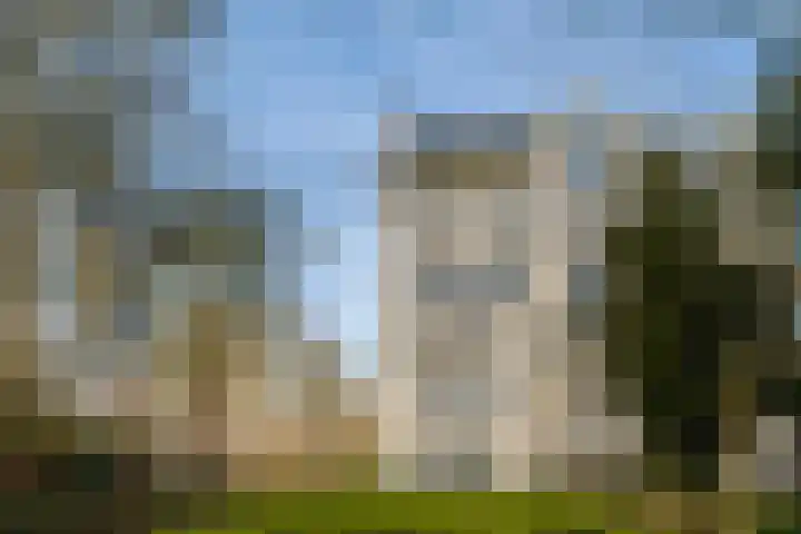 Westerweg 48 Purmerend thumbnail 36