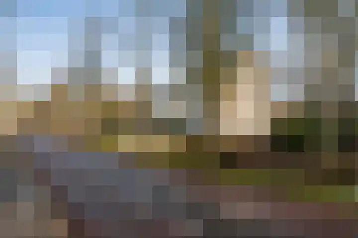 Westerweg 48 Purmerend thumbnail 42