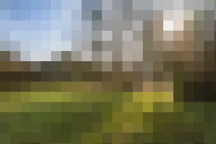 Westerweg 48 Purmerend thumbnail 48