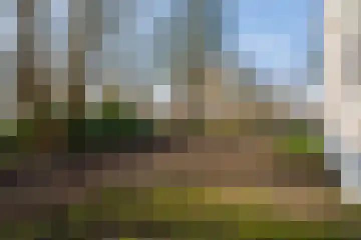 Westerweg 48 Purmerend thumbnail 49