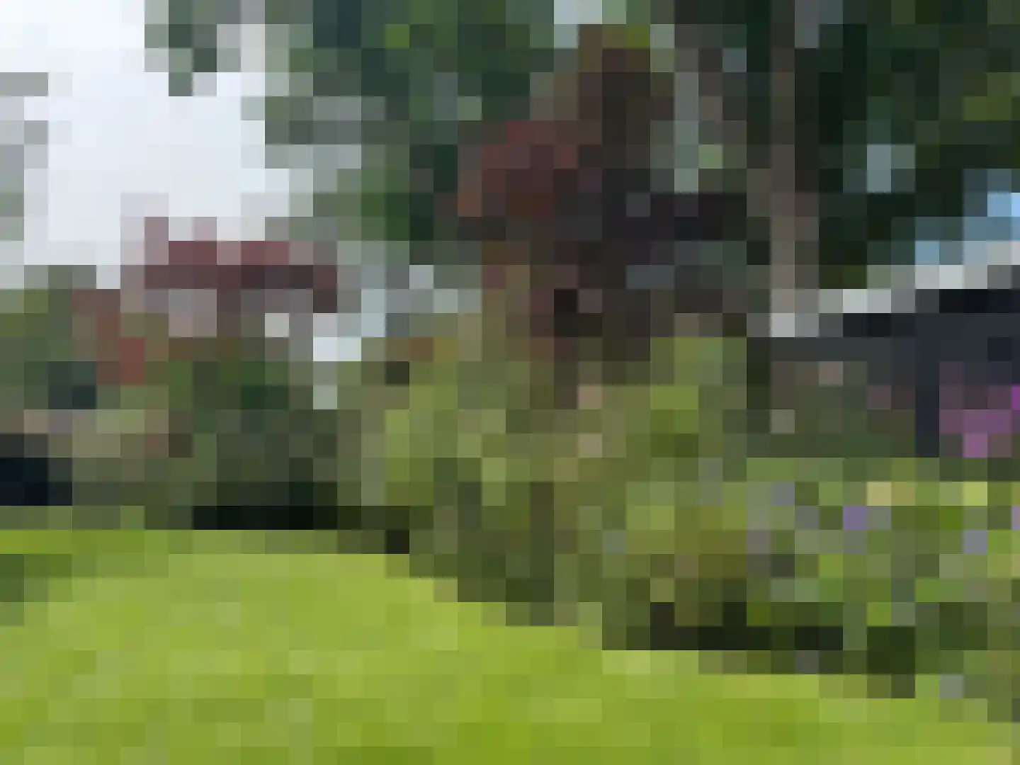 Westerweg 50 Bergen (NH) thumbnail 33