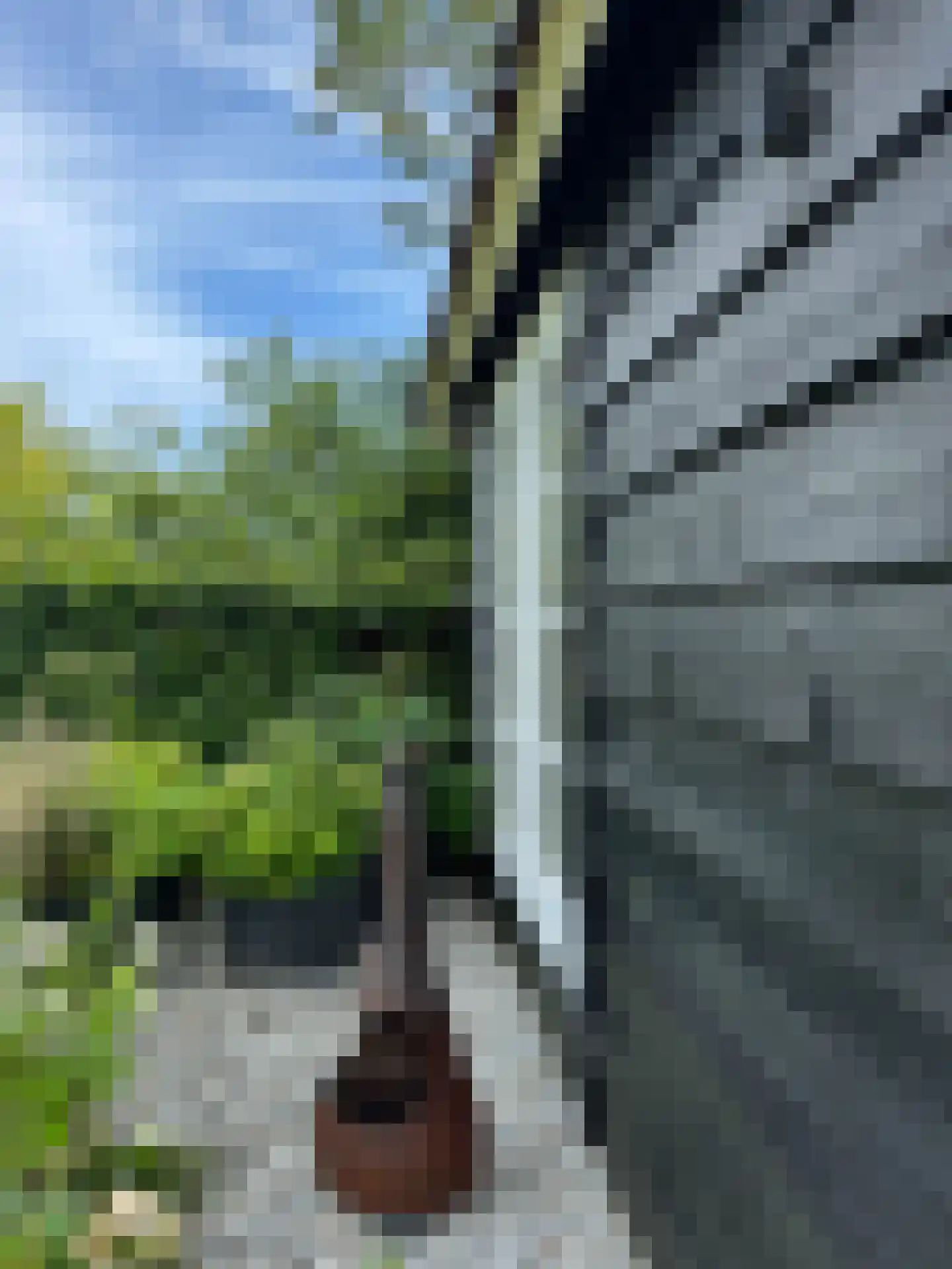 Westerweg 50 Bergen (NH) thumbnail 34