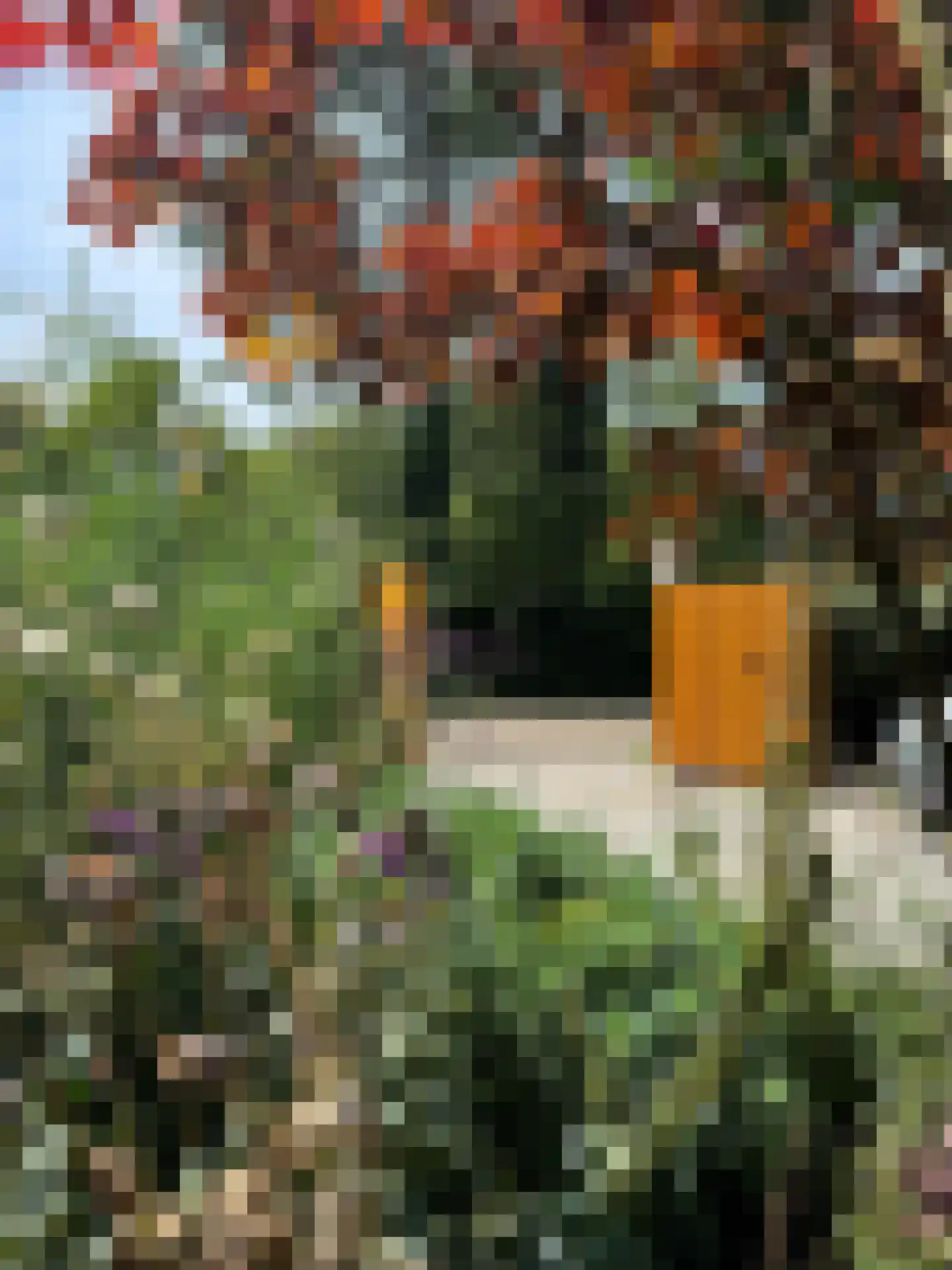 Westerweg 50 Bergen (NH) thumbnail 35