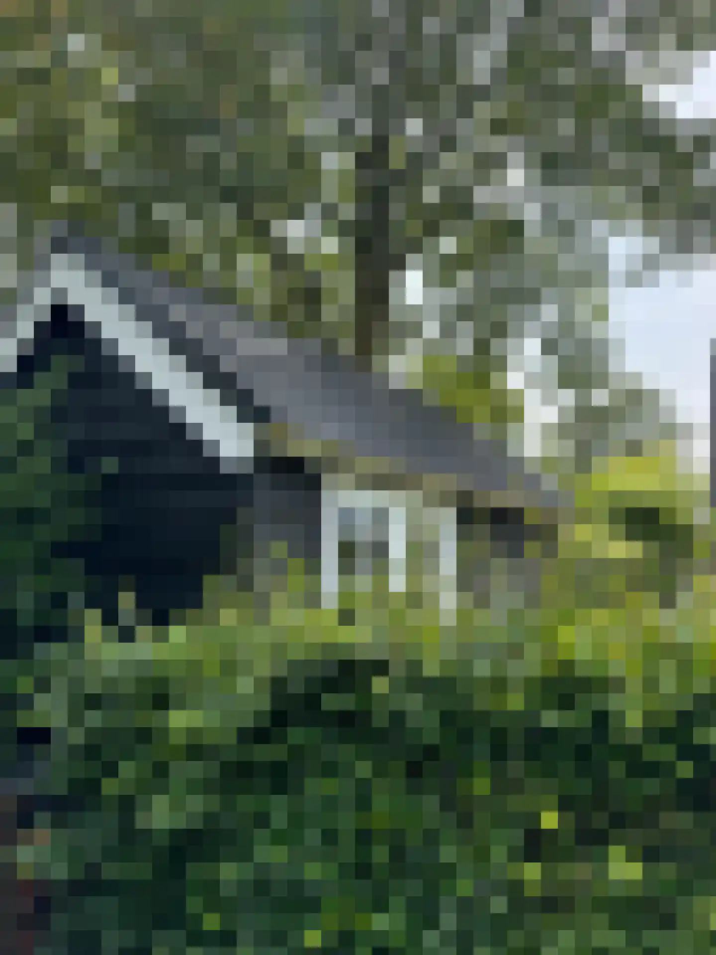 Westerweg 50 Bergen (NH) thumbnail 36