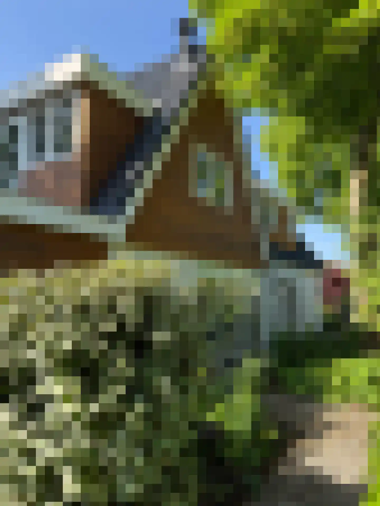 Westerweg 50 Bergen (NH) thumbnail 36