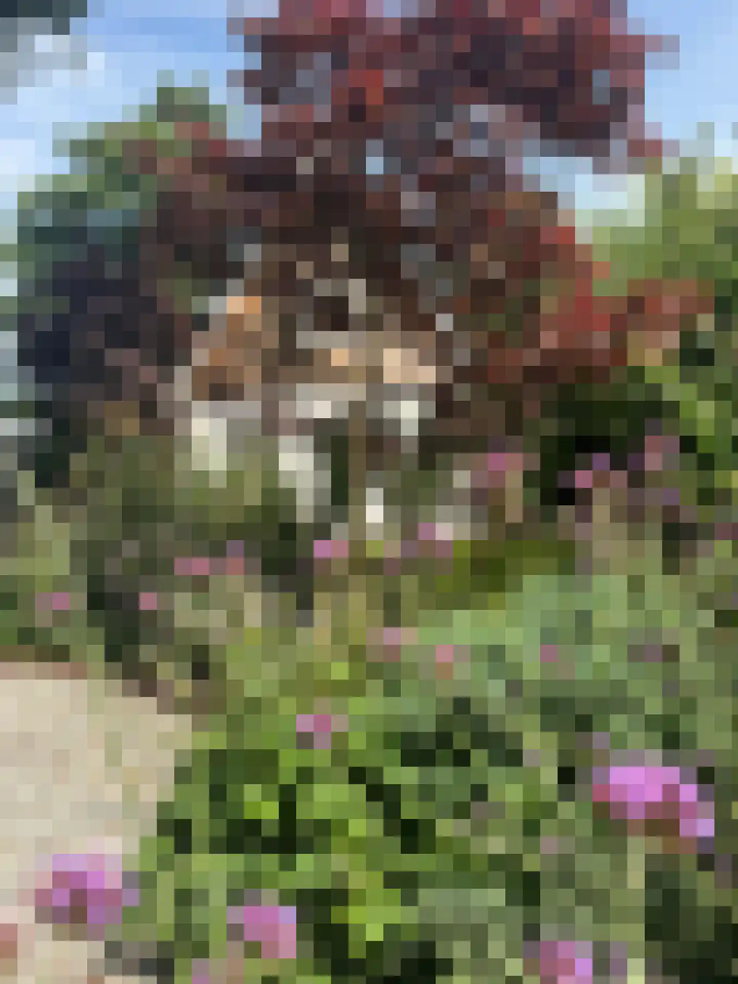 Westerweg 50 Bergen (NH) thumbnail 38