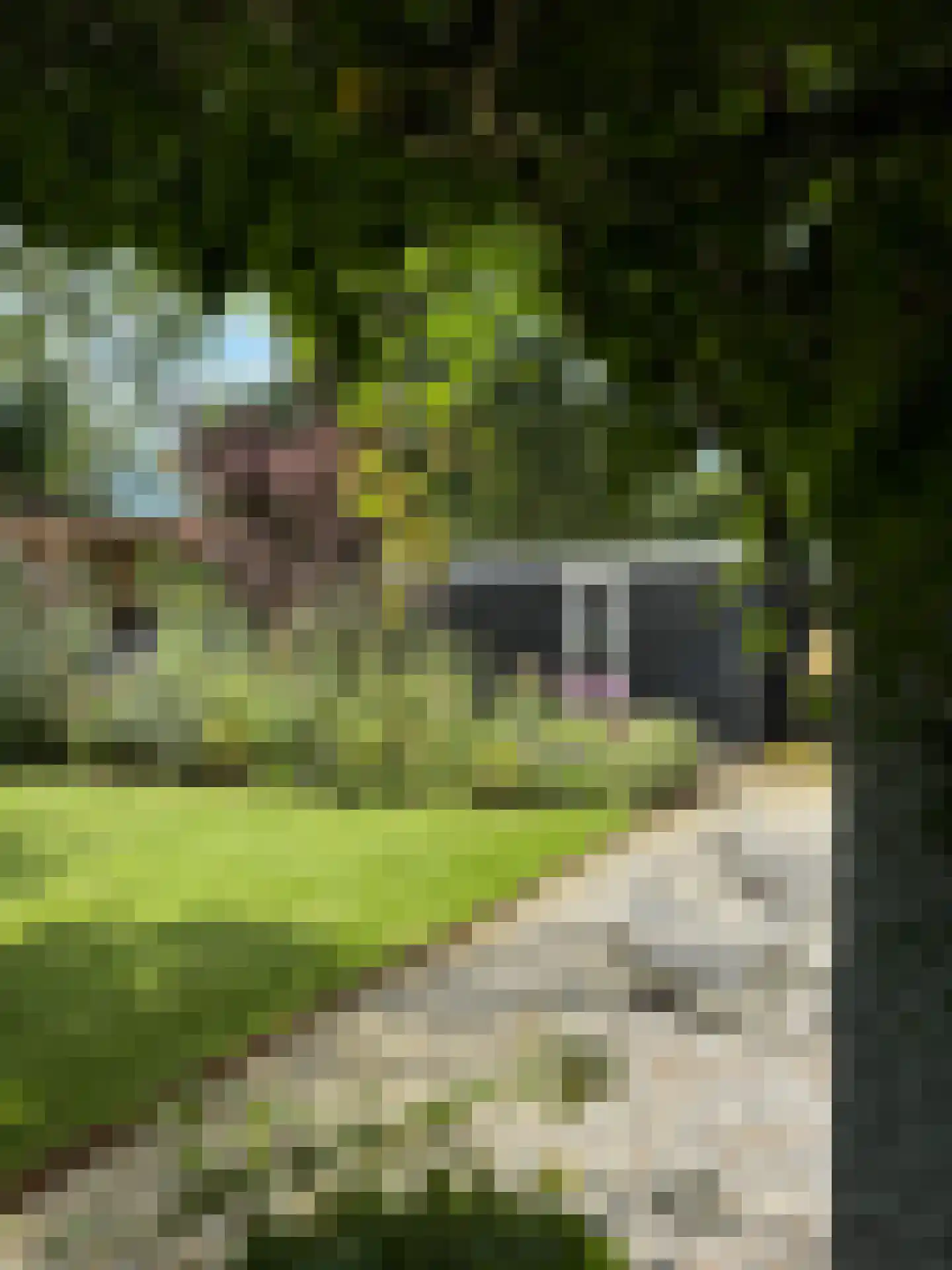 Westerweg 50 Bergen (NH) thumbnail 39