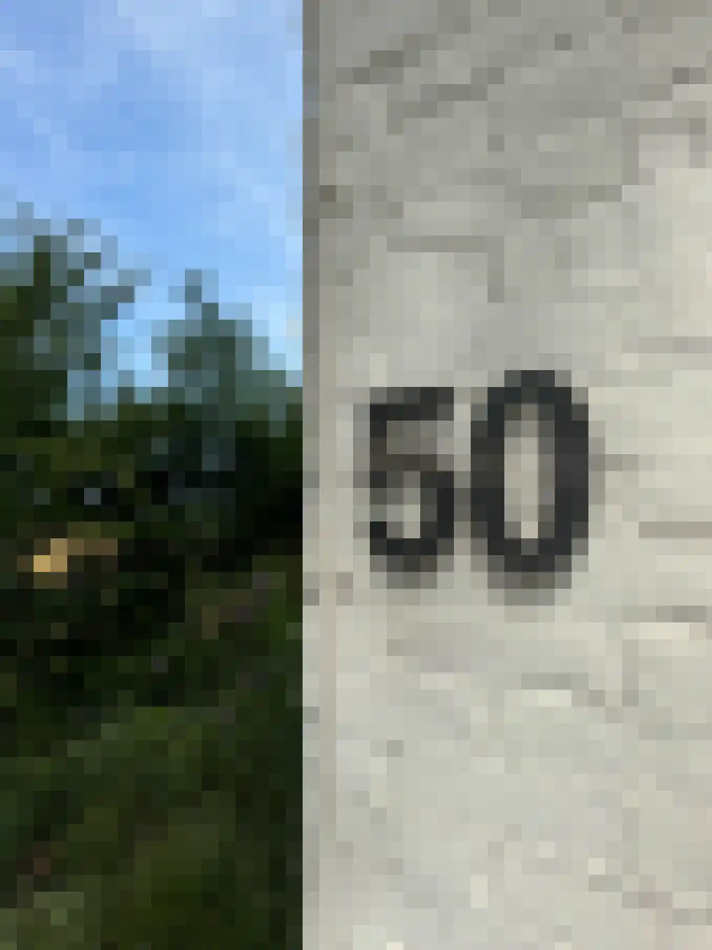 Westerweg 50 Bergen (NH) thumbnail 5