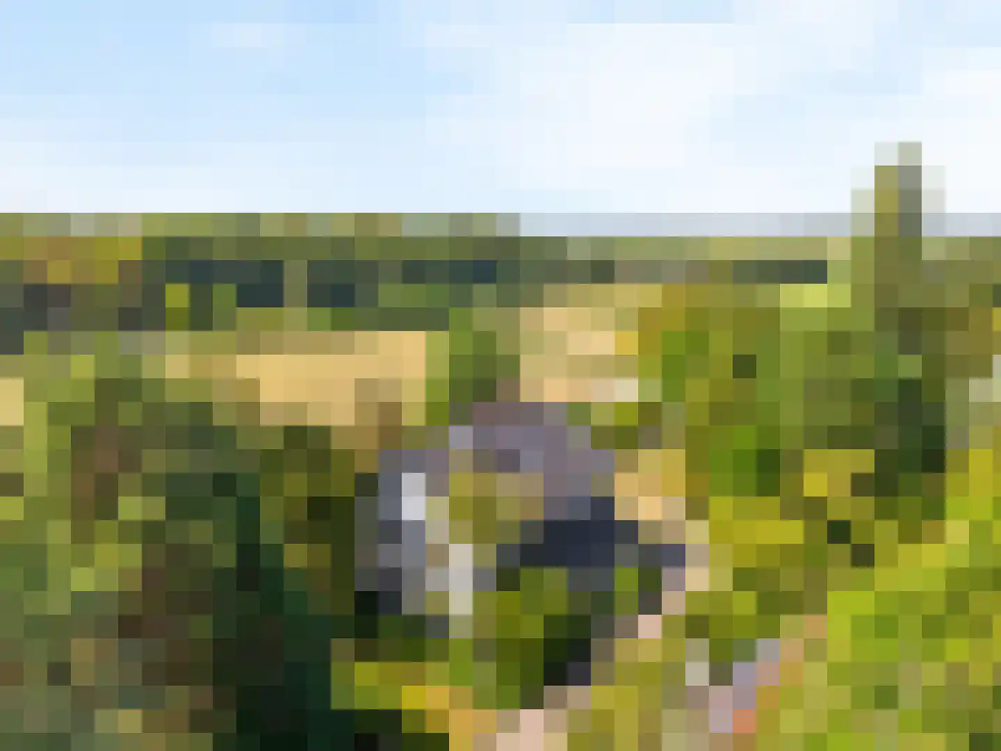Westerweg 51 Heiloo thumbnail 4