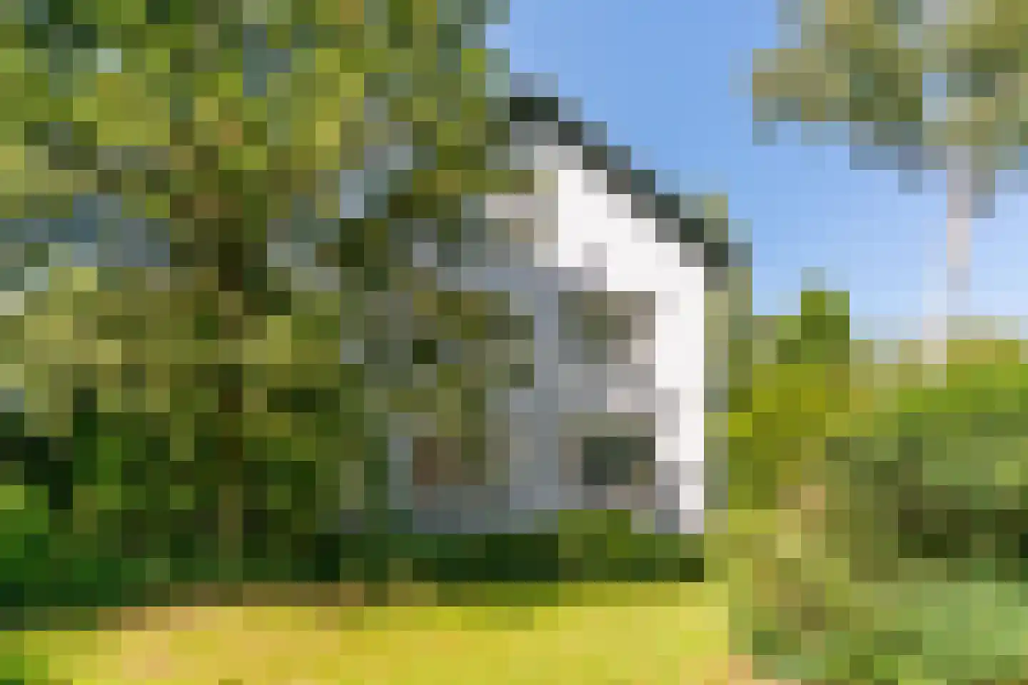 Westerweg 51 Heiloo thumbnail 5