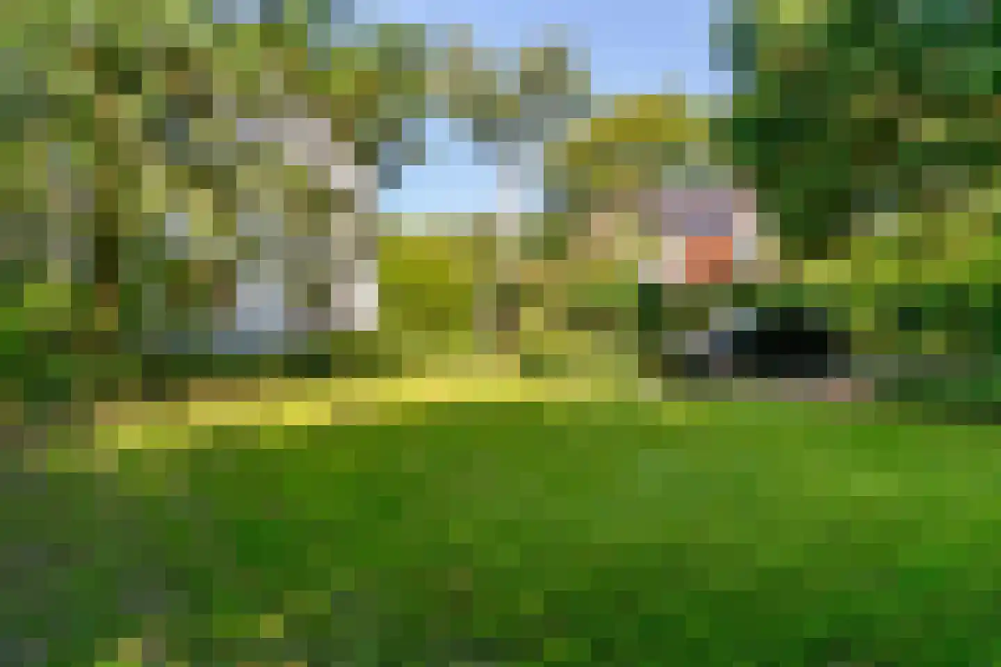 Westerweg 51 Heiloo thumbnail 62