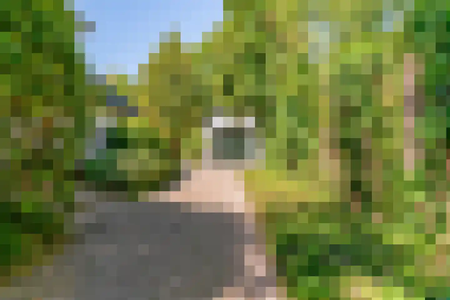 Westerweg 51 Heiloo thumbnail 72