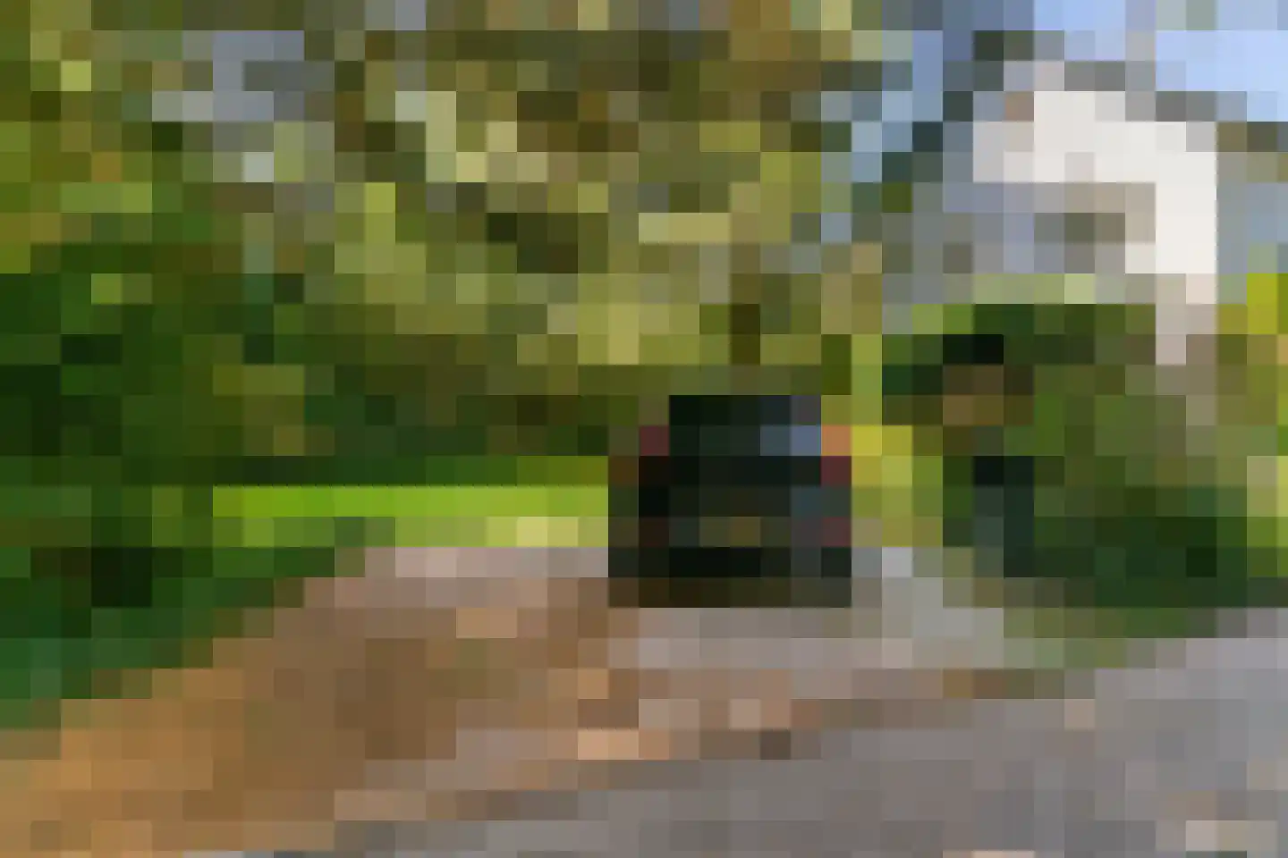 Westerweg 51 Heiloo thumbnail 84