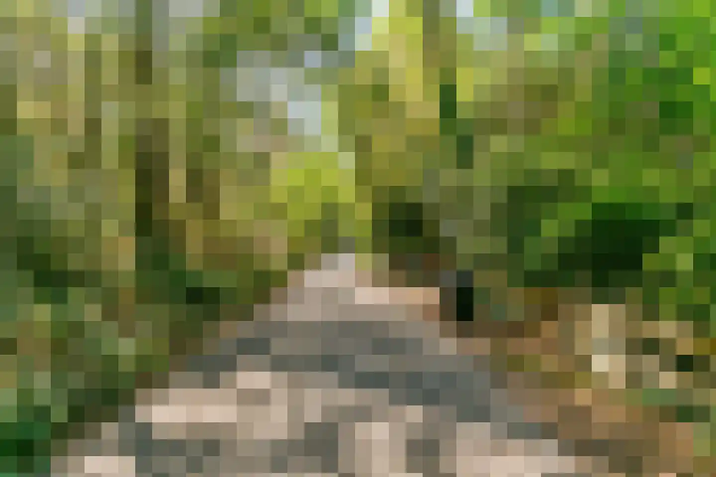 Westerweg 51 Heiloo thumbnail 88