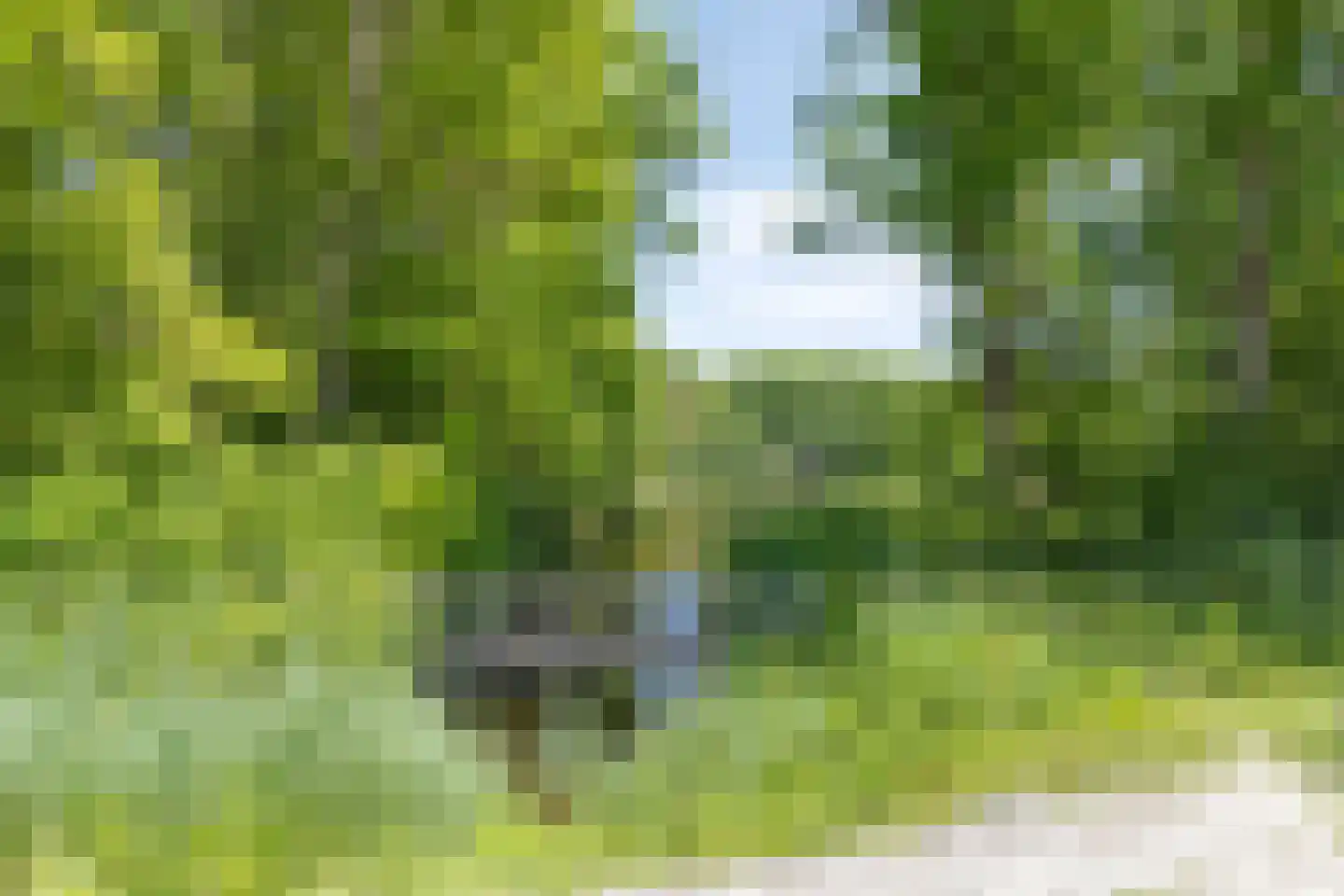 Westerweg 54 B Heerhugowaard thumbnail 48