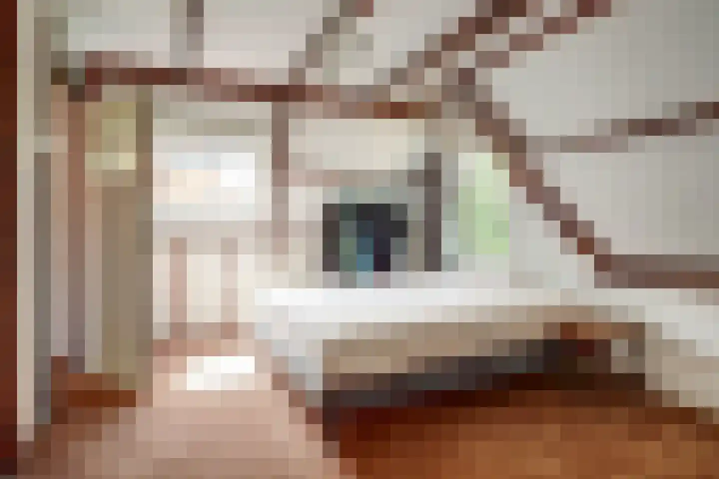 Westerweg 55 Alkmaar thumbnail 41