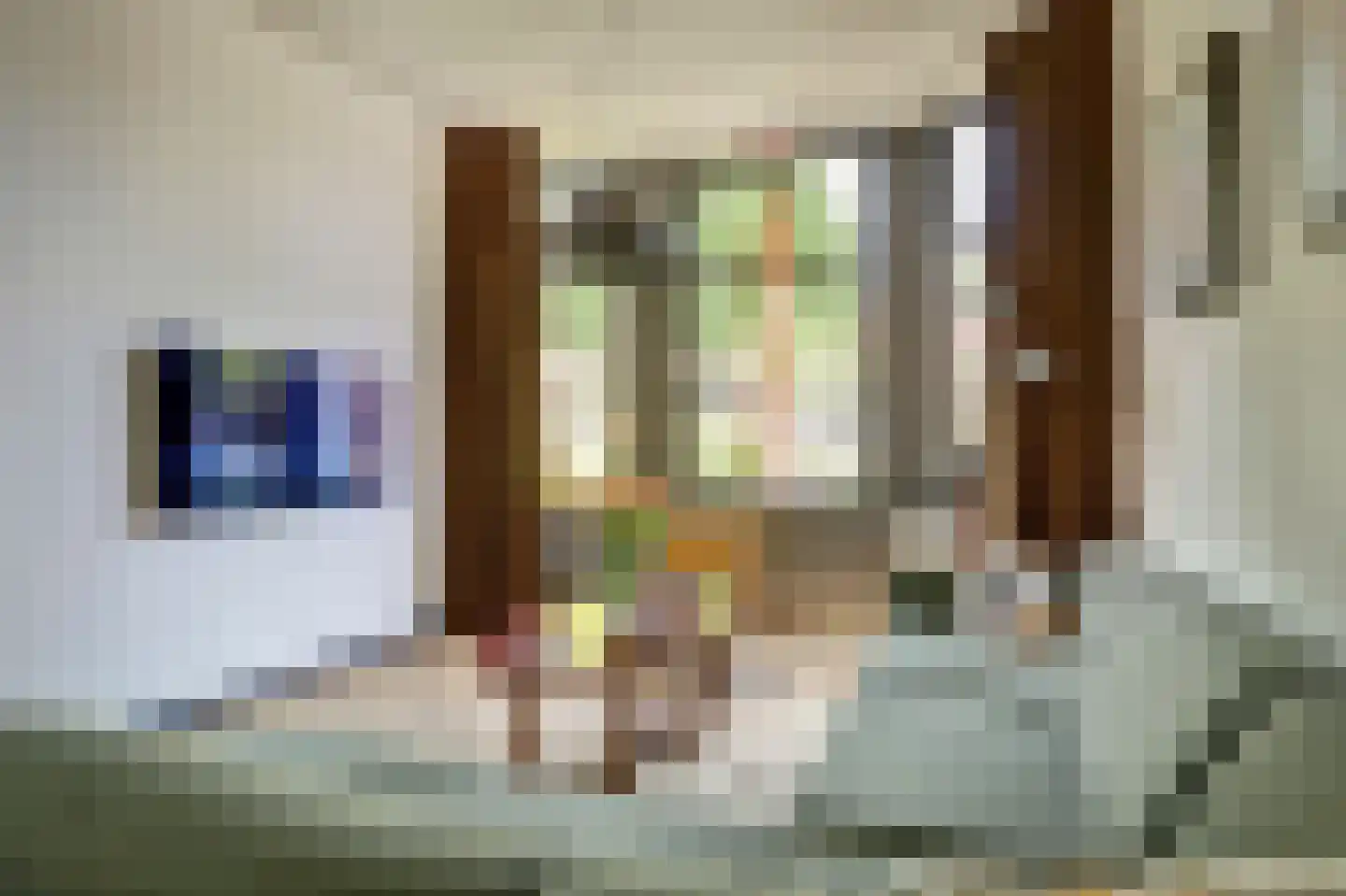 Westerweg 55 Alkmaar thumbnail 7