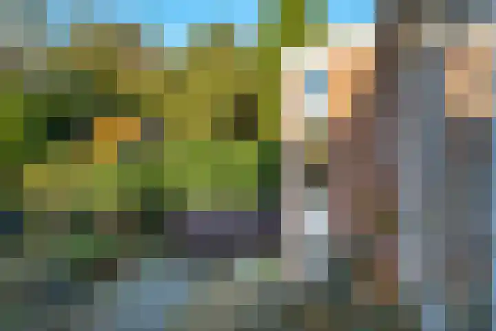 Westerweg 59 Heiloo thumbnail 51