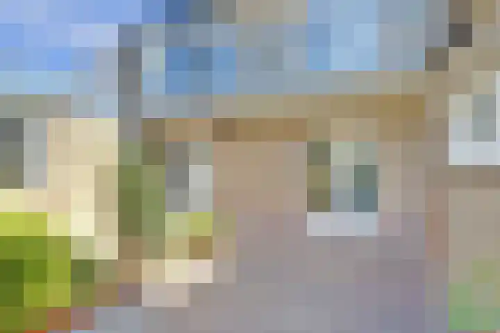 Westerweg 60 Alkmaar thumbnail 17