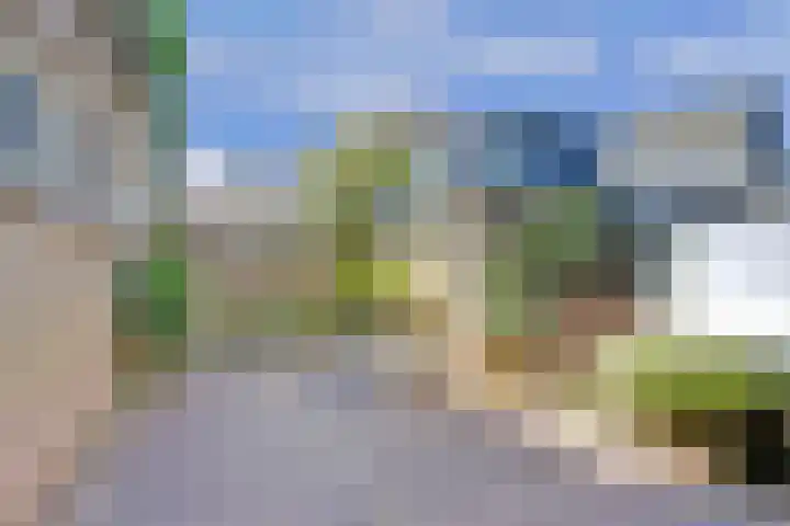 Westerweg 60 Alkmaar thumbnail 20