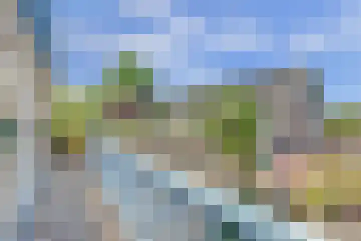 Westerweg 60 Alkmaar thumbnail 29