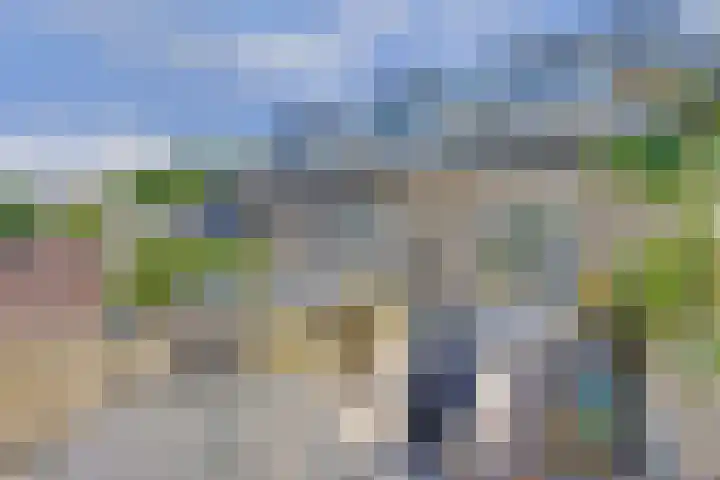 Westerweg 60 Alkmaar thumbnail 31