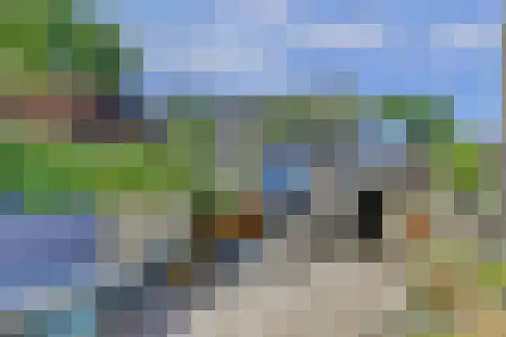 Westerweg 60 Alkmaar thumbnail 32