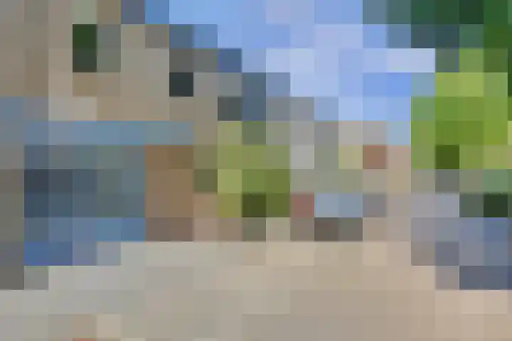 Westerweg 60 Alkmaar thumbnail 47