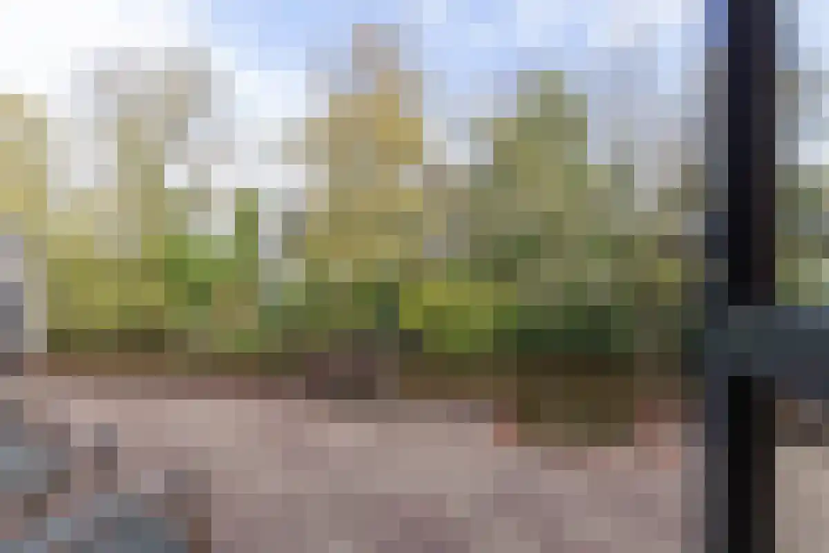 Westerweg 64 Alkmaar thumbnail 19