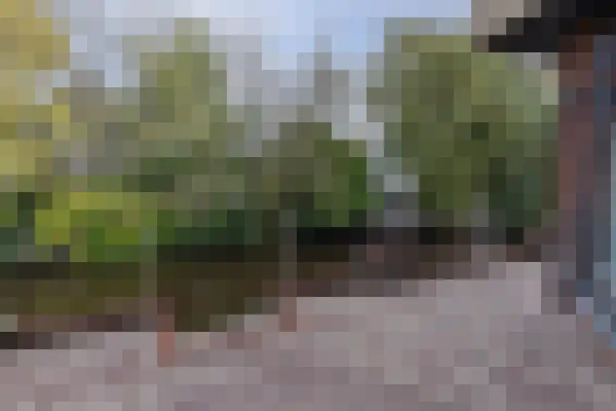 Westerweg 64 Alkmaar thumbnail 22