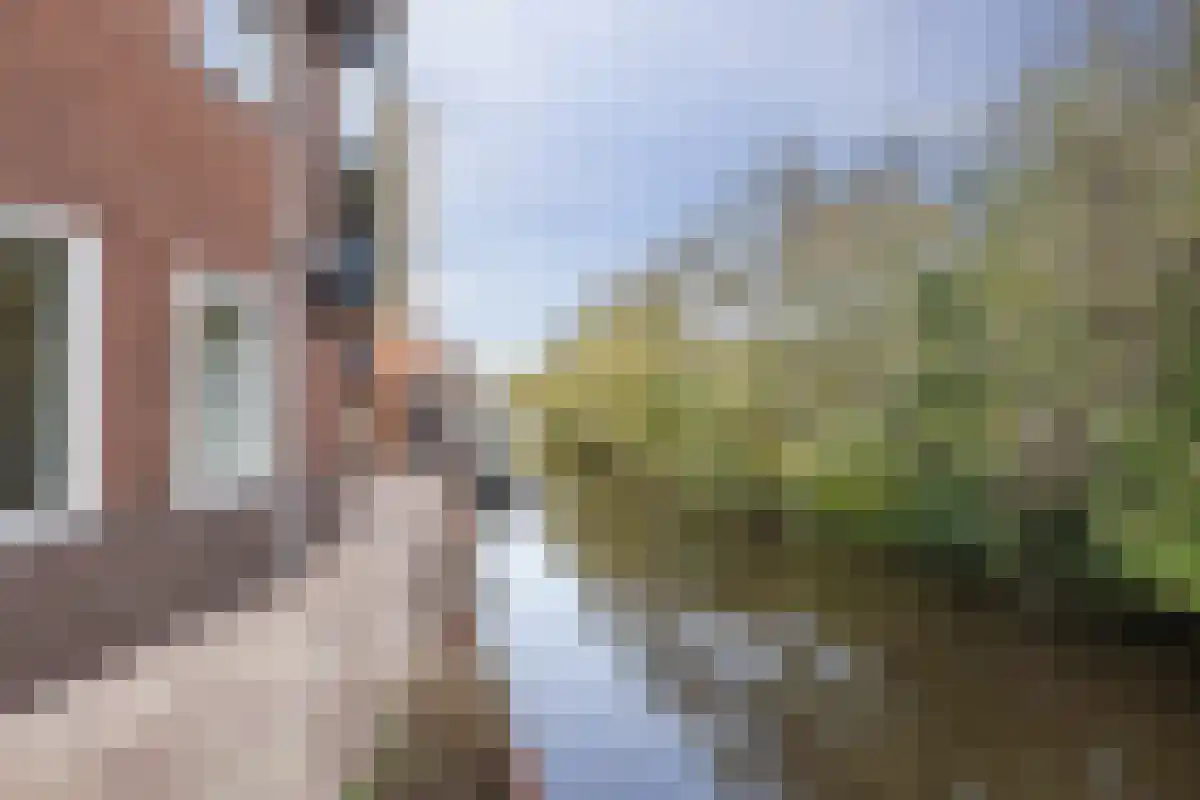 Westerweg 64 Alkmaar thumbnail 24
