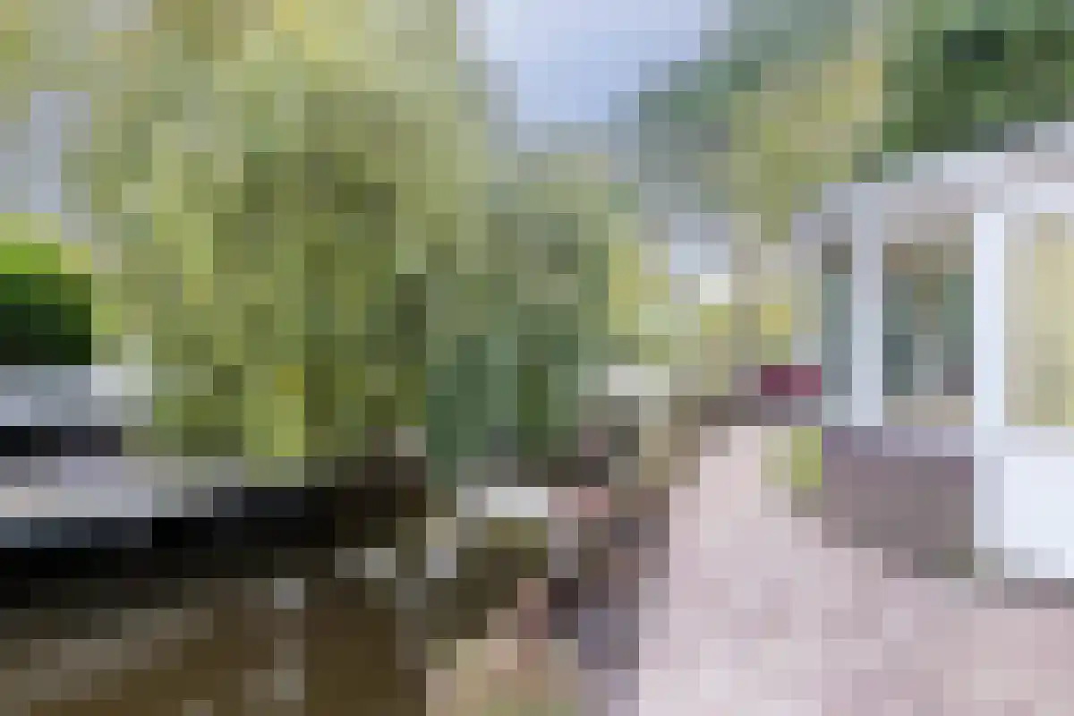 Westerweg 64 Alkmaar thumbnail 25