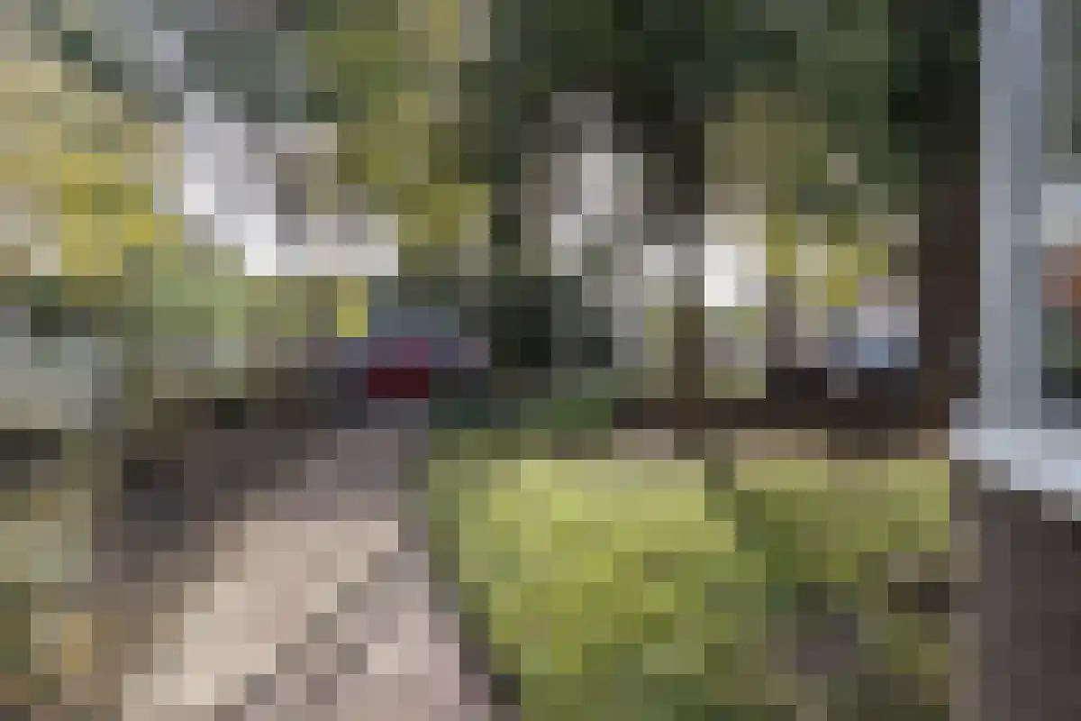 Westerweg 64 Alkmaar thumbnail 48