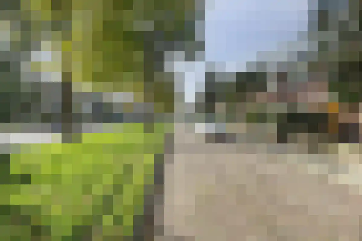 Westerweg 64 Alkmaar thumbnail 50