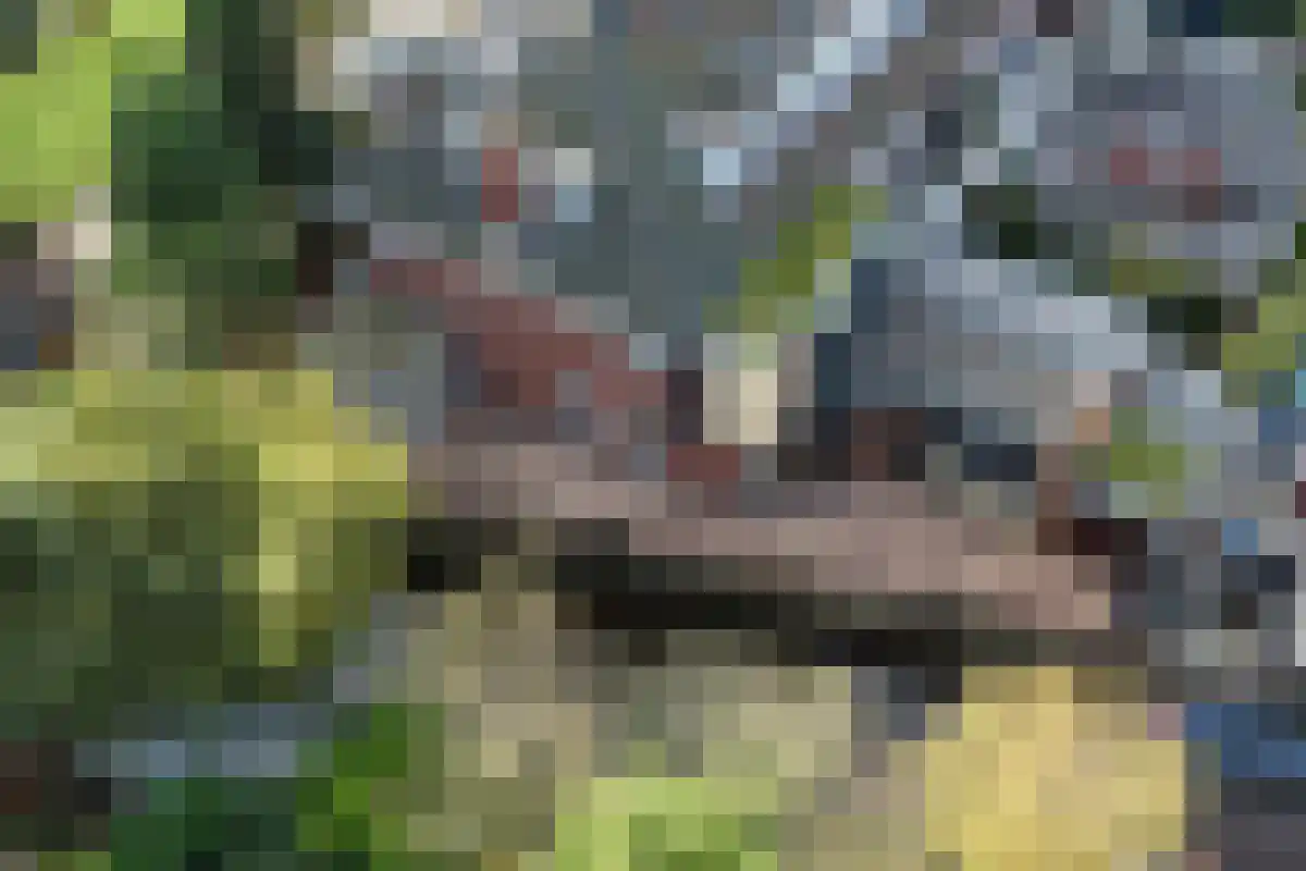Westerweg 64 Alkmaar thumbnail 53