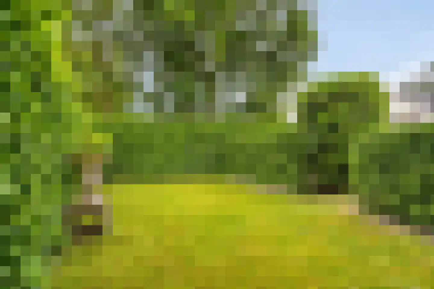 Westerweg 66 Heiloo thumbnail 15