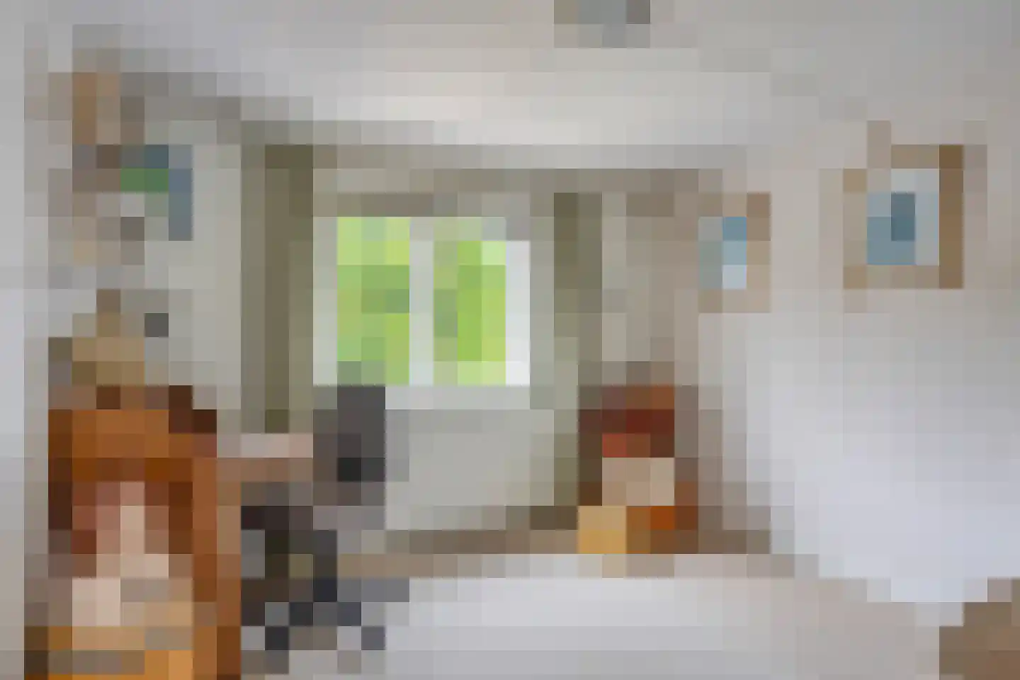 Westerweg 66 Heiloo thumbnail 22