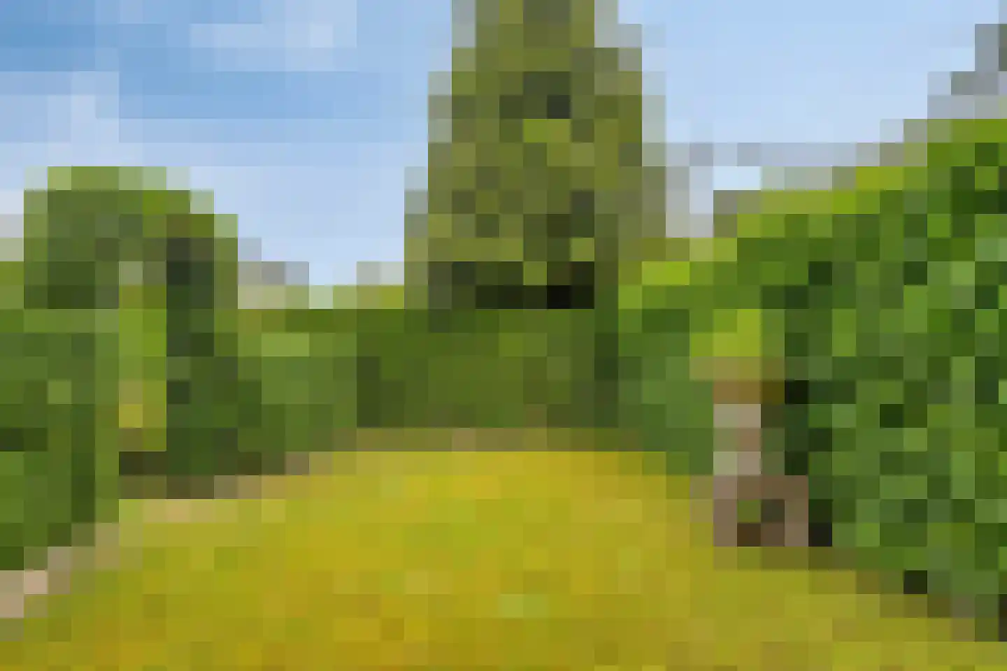 Westerweg 66 Heiloo thumbnail 28