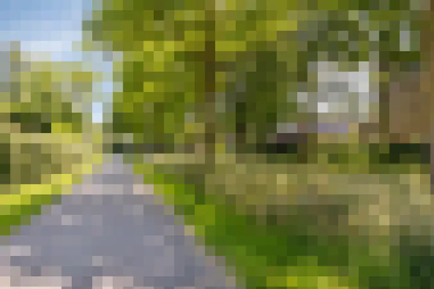 Westerweg 66 Heiloo thumbnail 34
