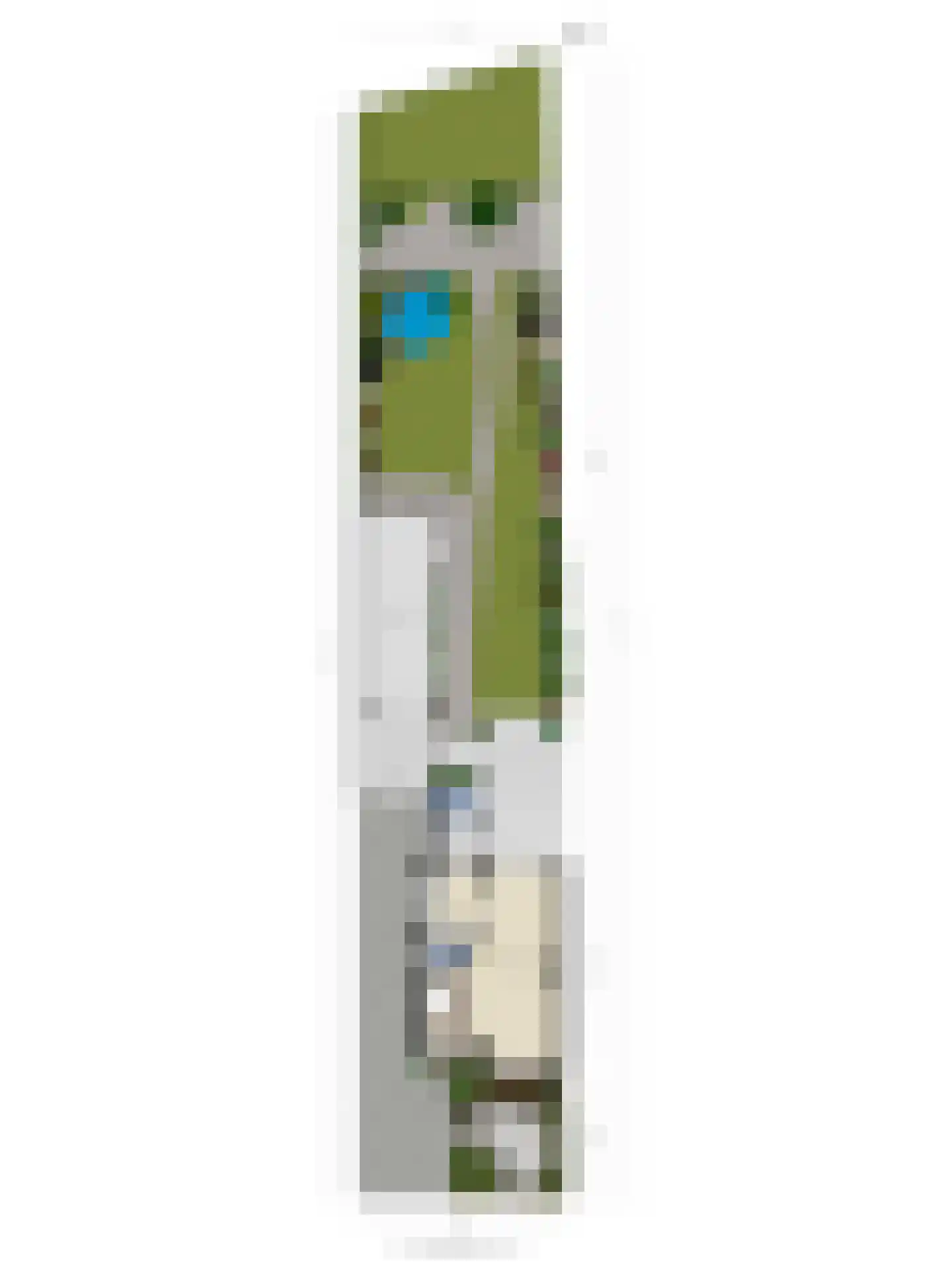Westerweg 66 Heiloo thumbnail 37