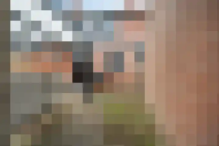 Westerweg 7 a Beerzerveld thumbnail 21