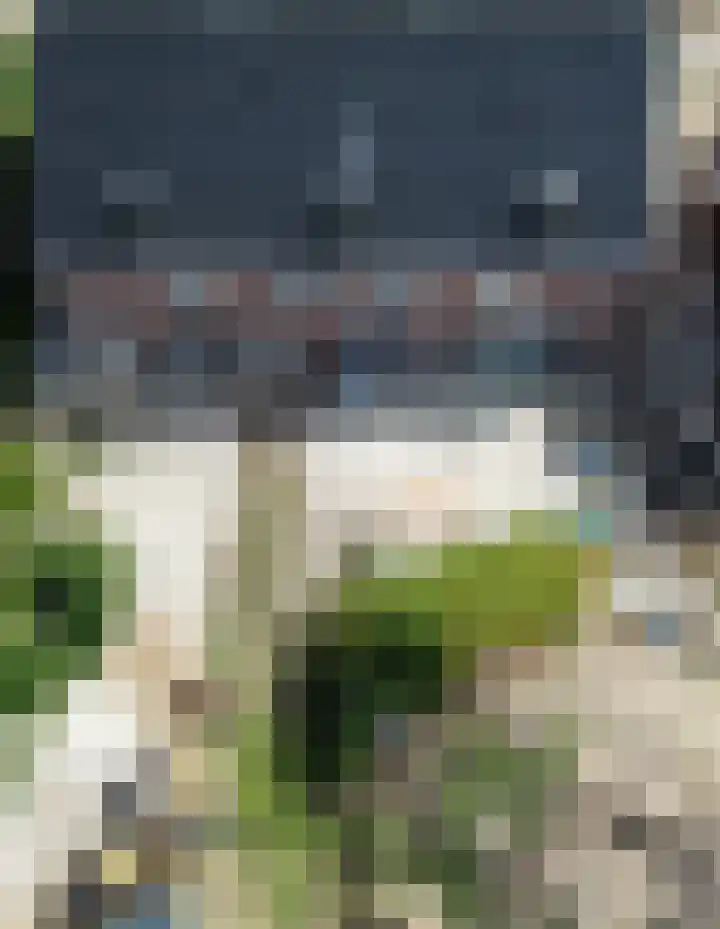 Westerweg 7 a Beerzerveld thumbnail 6