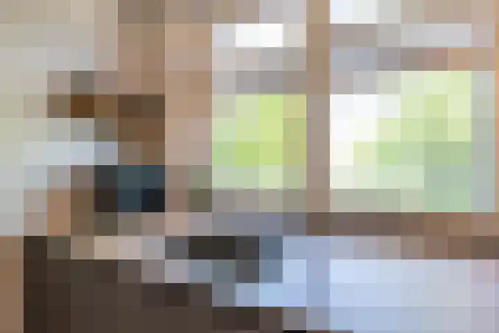 Westerweg 7 c Beerzerveld thumbnail 20