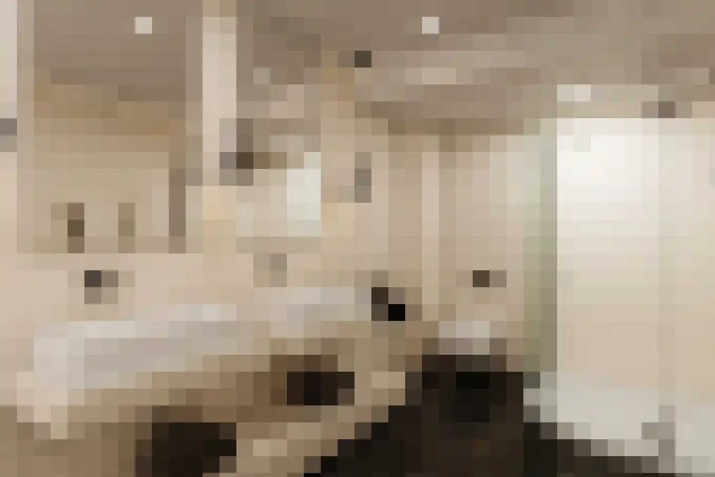 Westerweg 7 c Beerzerveld thumbnail 32