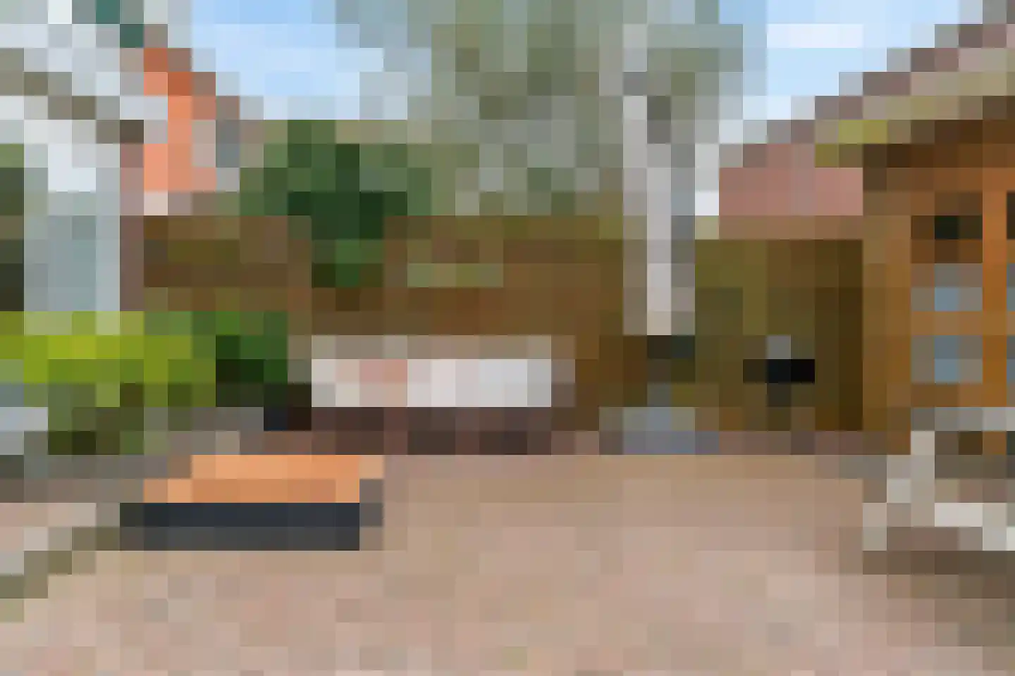Westerweg 7 Limmen thumbnail 40