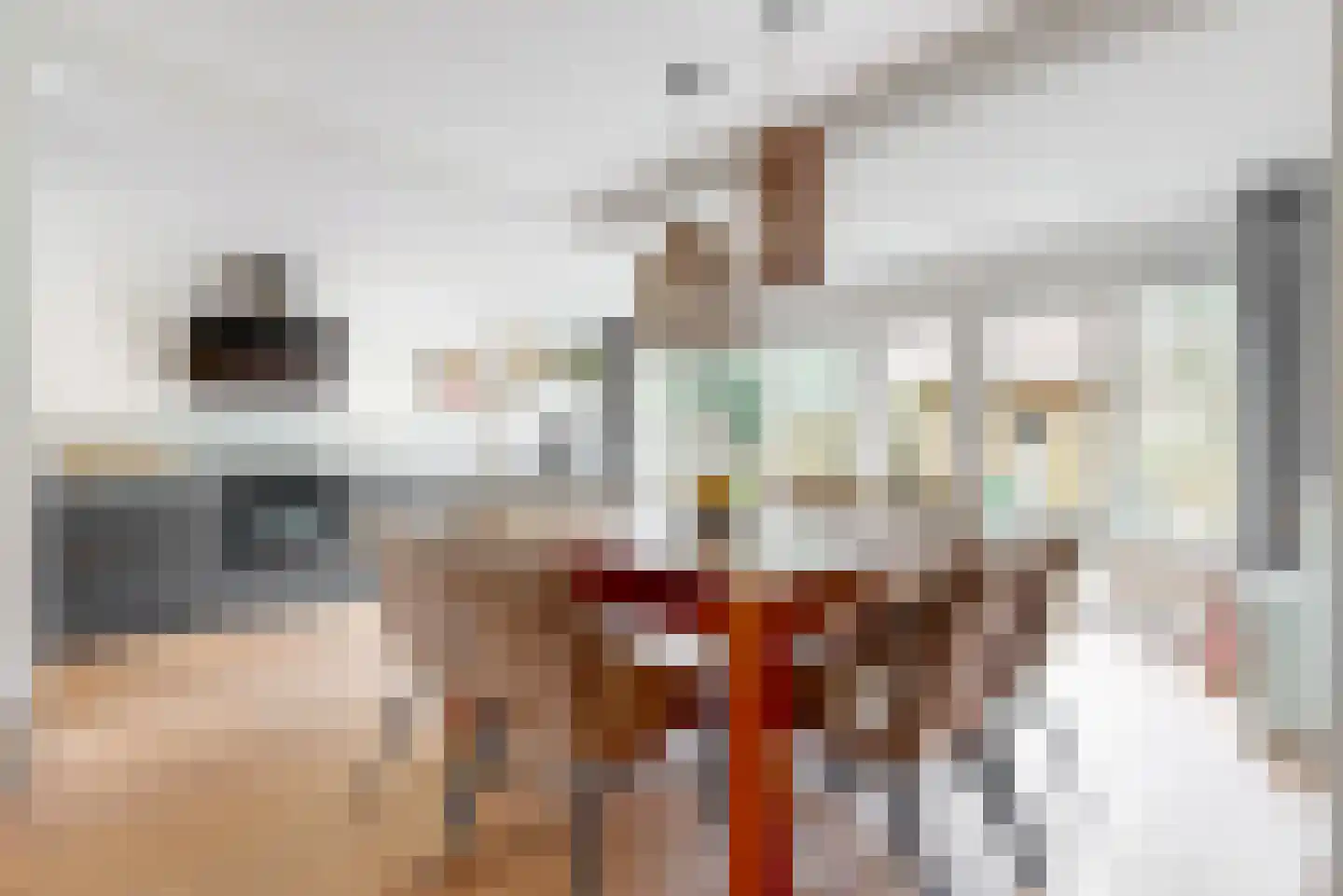 Westerweg 7 Limmen thumbnail 7