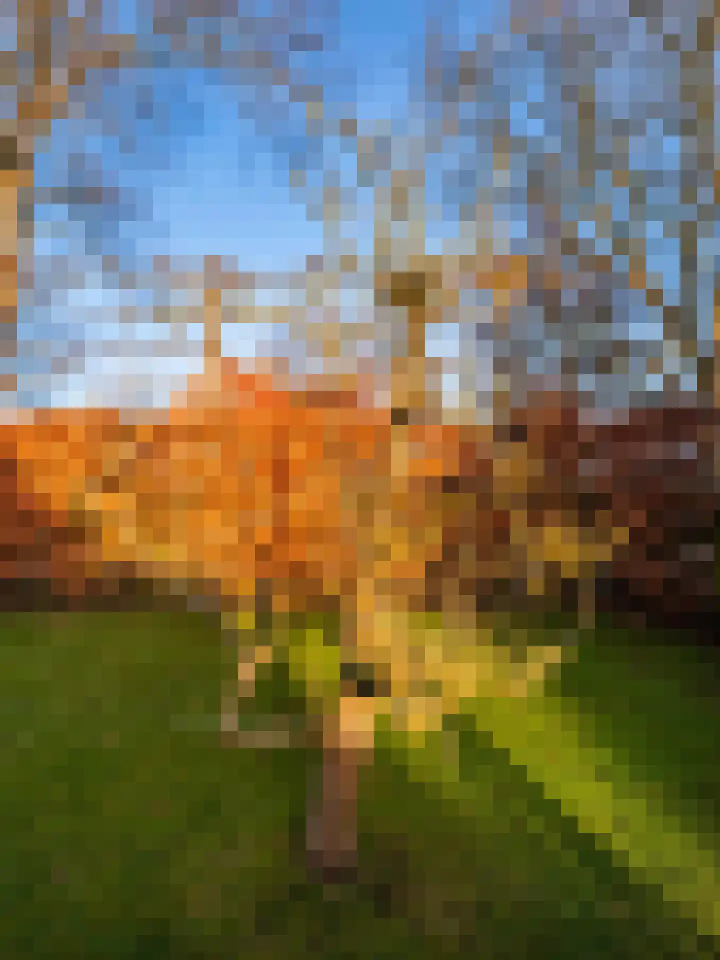 Westerweg 71 Bergen (NH) thumbnail 35