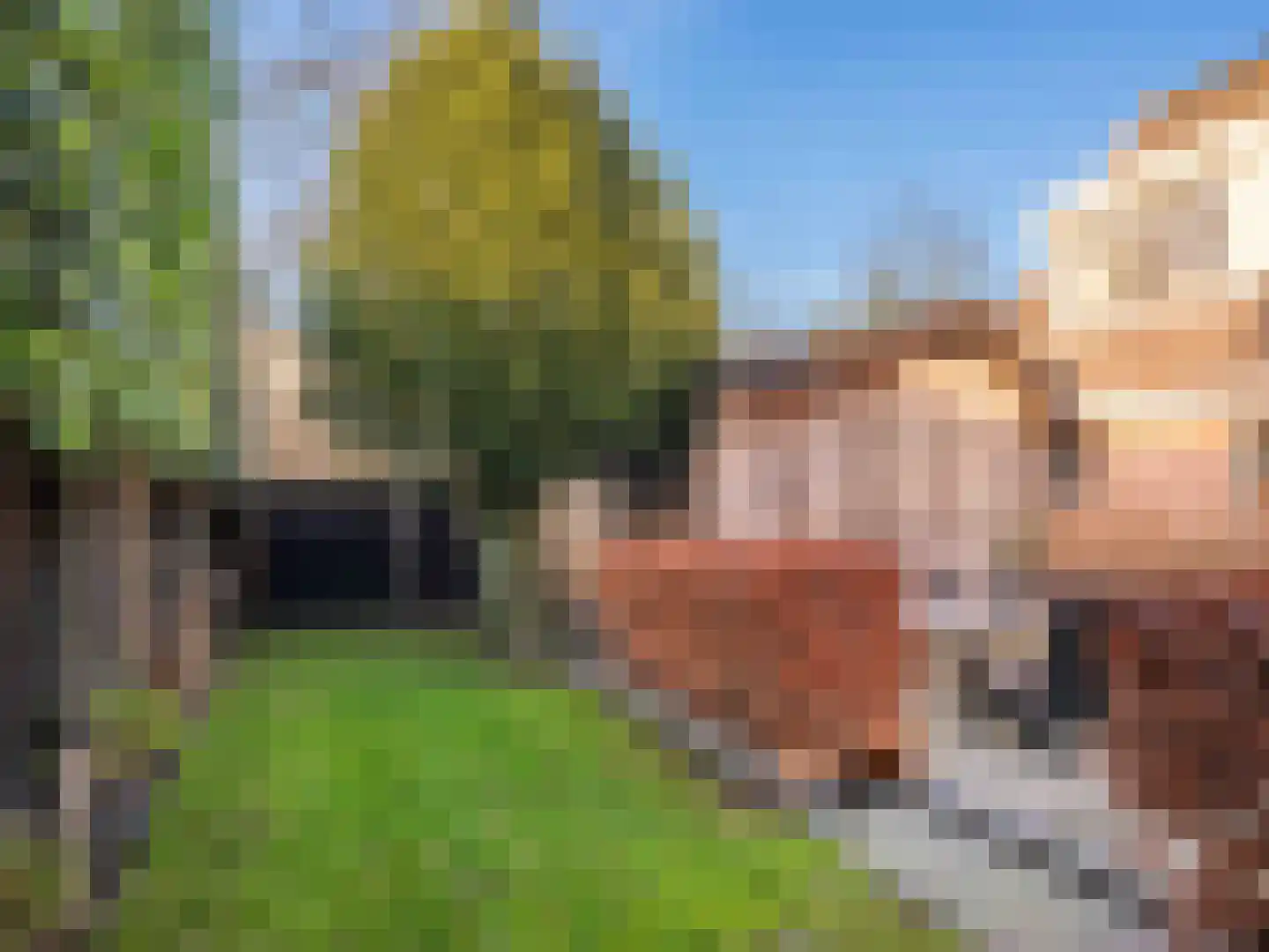Westerweg 71 Bergen (NH) thumbnail 45